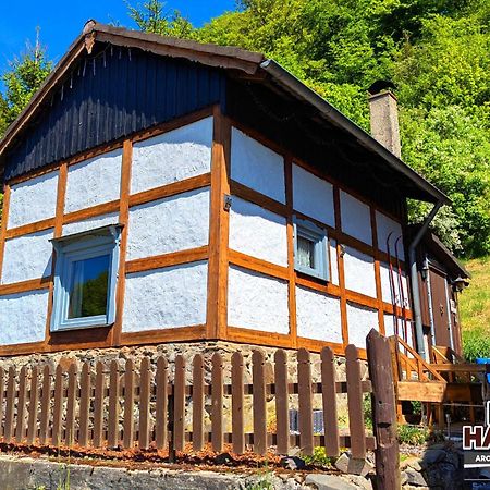 Arode Huette Harzilein - Romantic Tiny House On The Edge Of The Forest Zorge Dış mekan fotoğraf