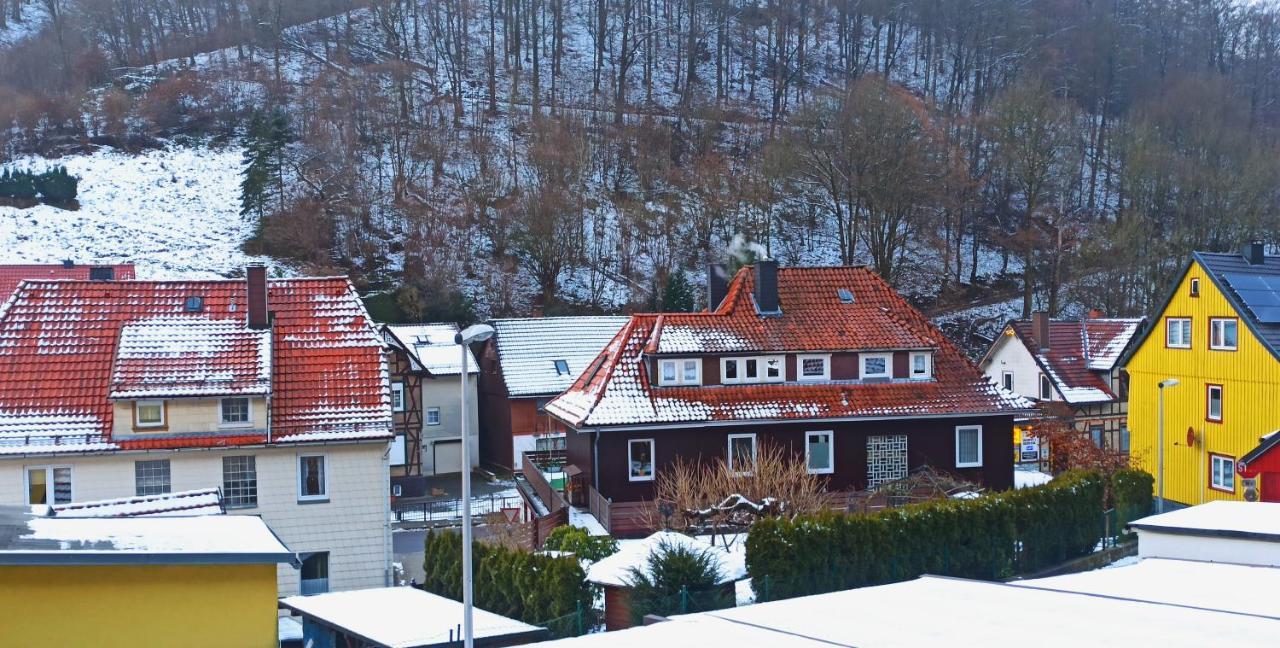 Arode Huette Harzilein - Romantic Tiny House On The Edge Of The Forest Zorge Dış mekan fotoğraf