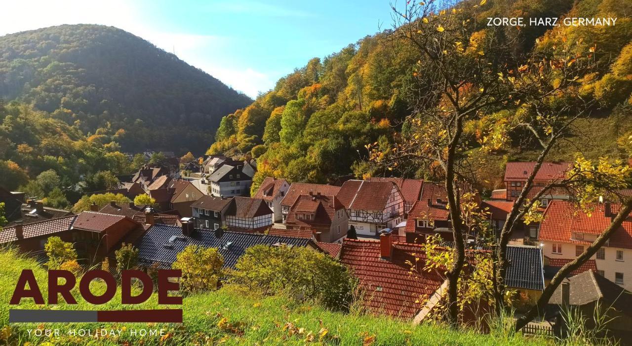 Arode Huette Harzilein - Romantic Tiny House On The Edge Of The Forest Zorge Dış mekan fotoğraf