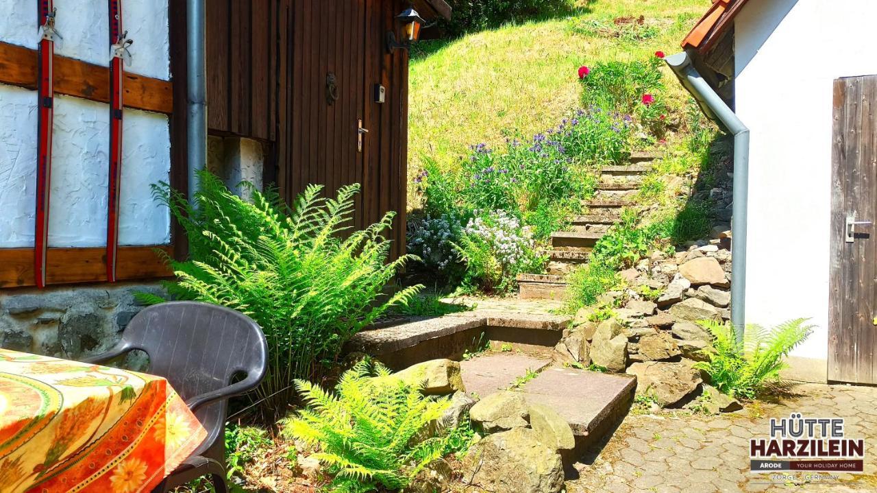 Arode Huette Harzilein - Romantic Tiny House On The Edge Of The Forest Zorge Dış mekan fotoğraf